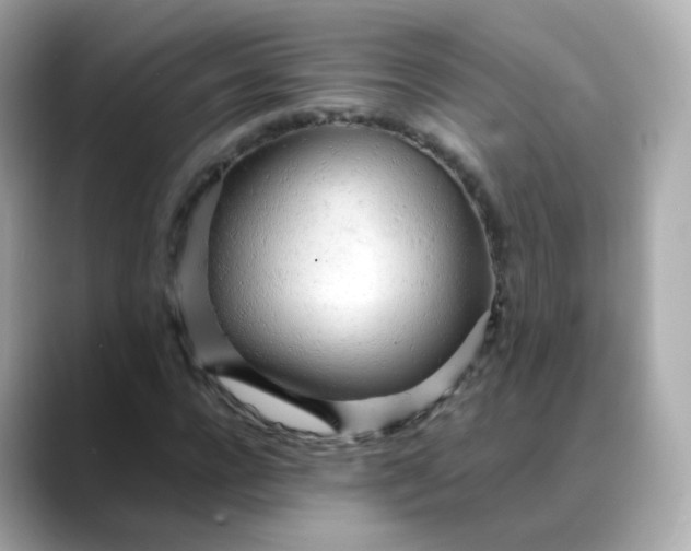 X0000088420920200706051209