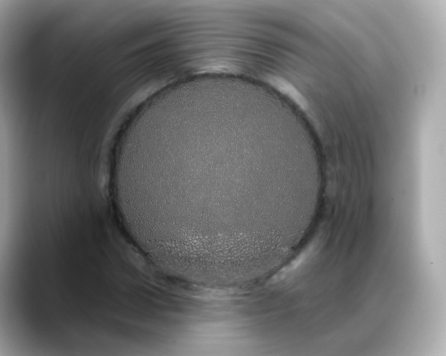 X0000088420922200706051209