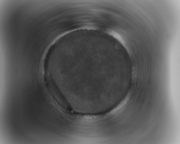 X0000088420923200706051209