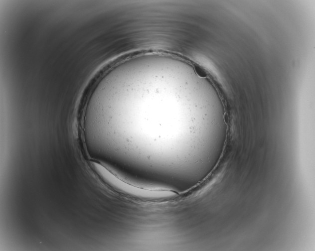 X0000088420924200706051209