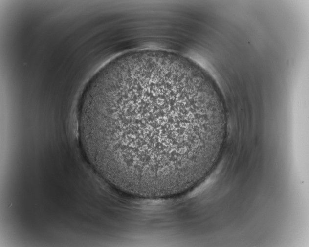 X0000088420925200706051209