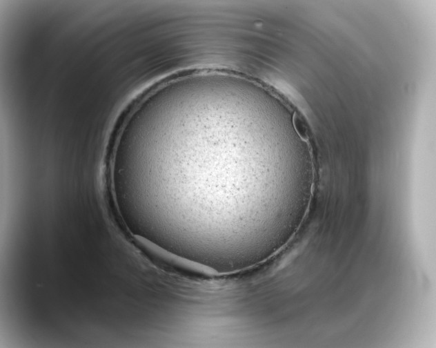 X0000088420928200706051209