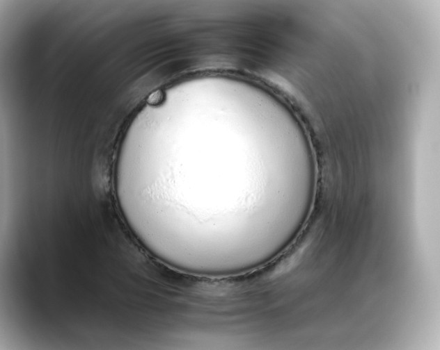 X0000088420929200706051209