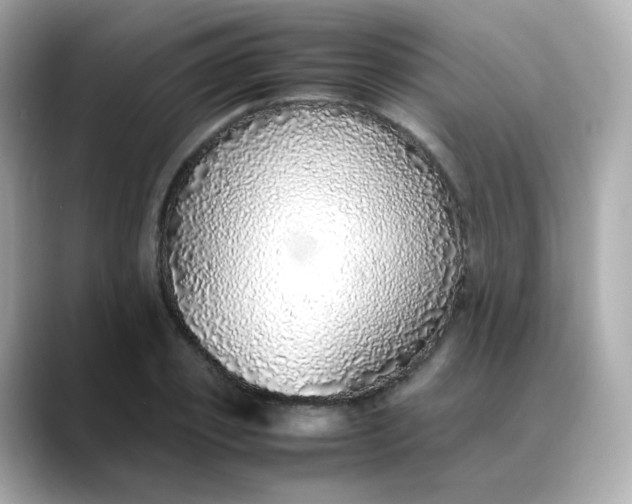 X0000088420933200706051209