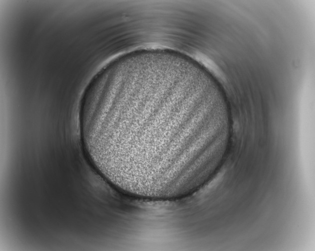 X0000088420934200706051209