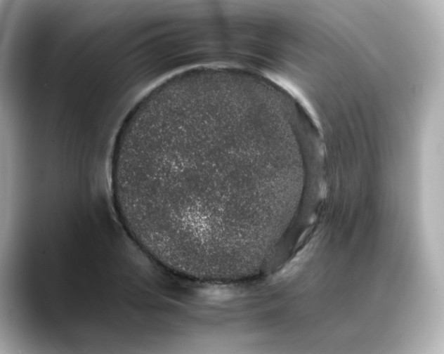 X0000088420935200706051209