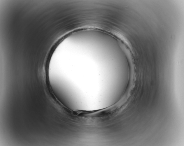 X0000088420936200706051209