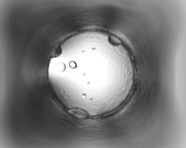 X0000088420937200706051209