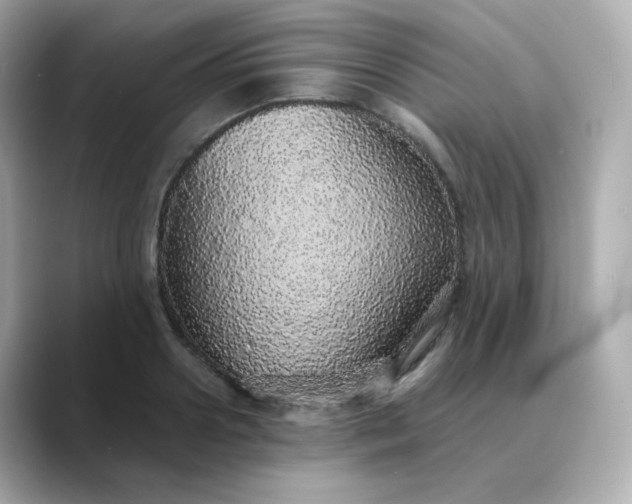 X0000088420938200706051209