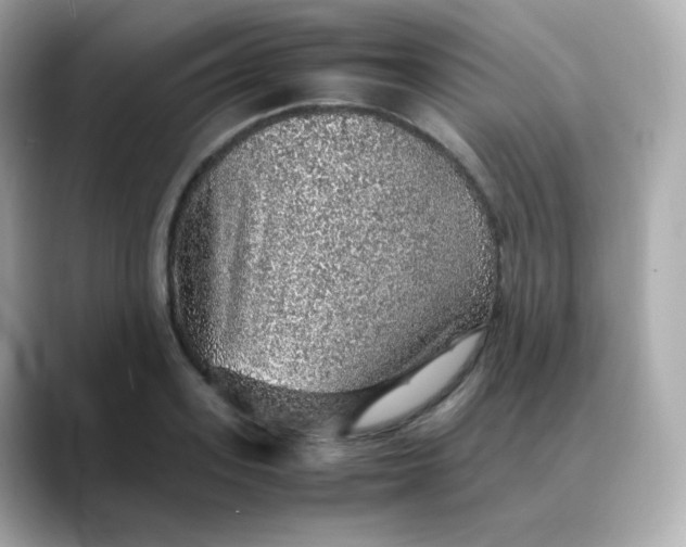 X0000088420939200706051209