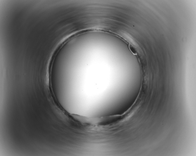 X0000088420940200706051209