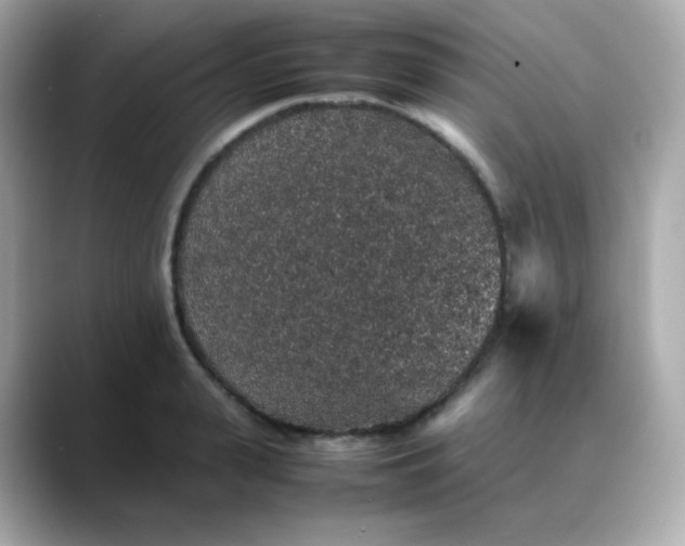 X0000088420943200706051209