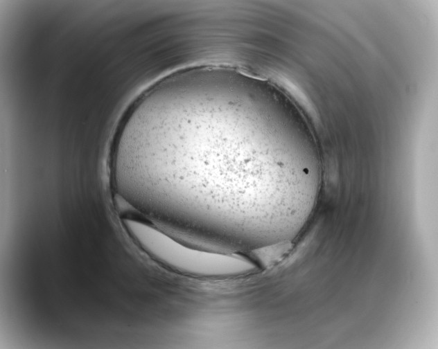 X0000088420944200706051209