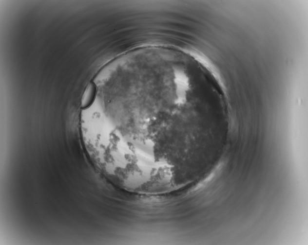 X0000088420945200706051209