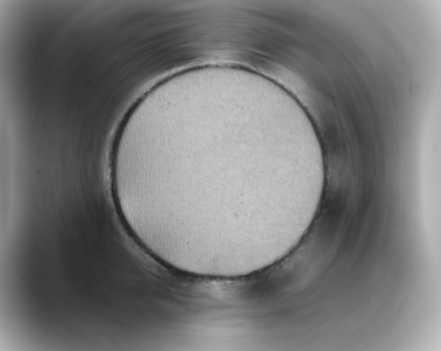 X0000088420950200706051209