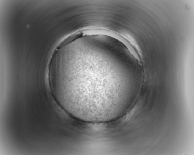 X0000088420952200706051209
