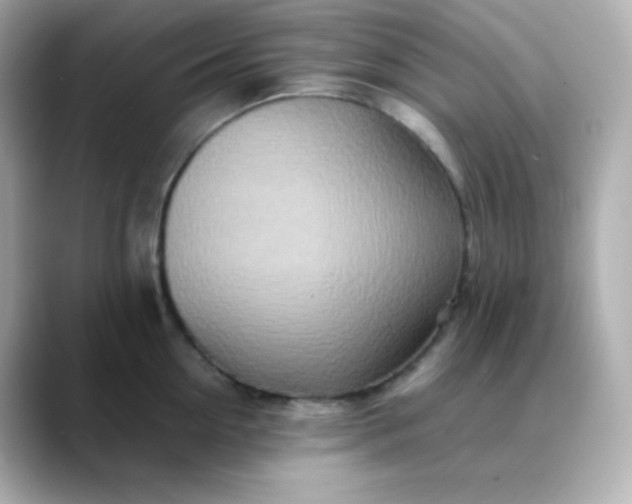 X0000088420954200706051209