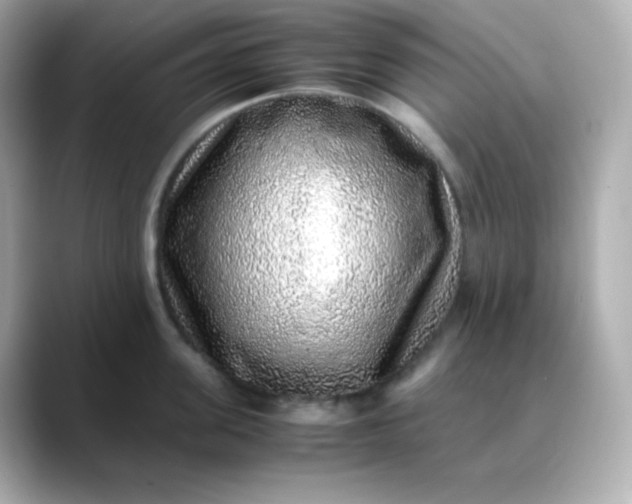 X0000088420955200706051209
