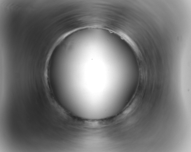 X0000088420956200706051209