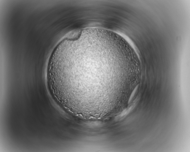 X0000088420957200706051209