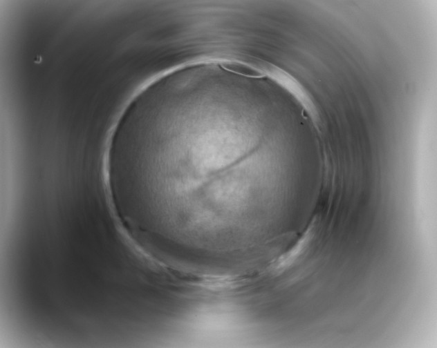 X0000088420958200706051209