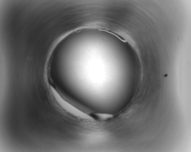 X0000088420960200706051209