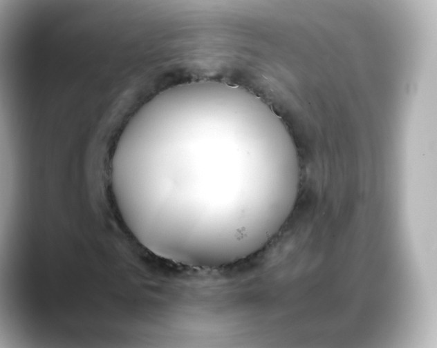 X0000088420961200706051209