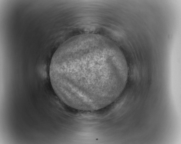 X0000088420962200706051209