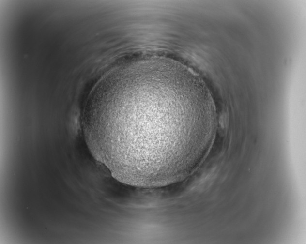 X0000088420963200706051209