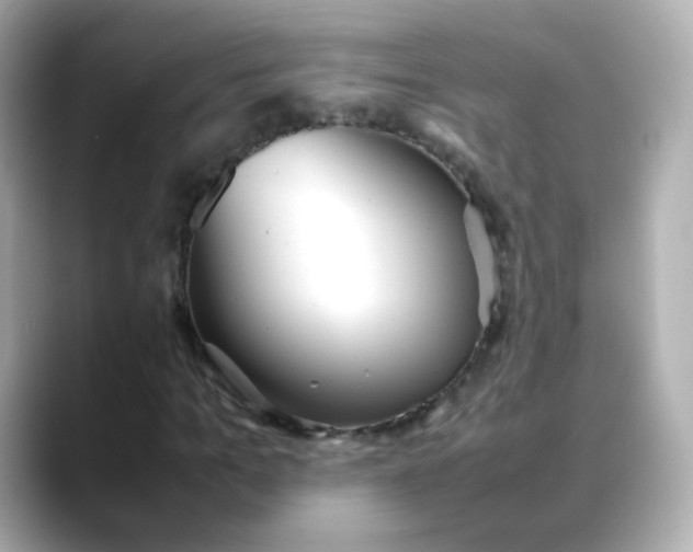 X0000088420965200706051209