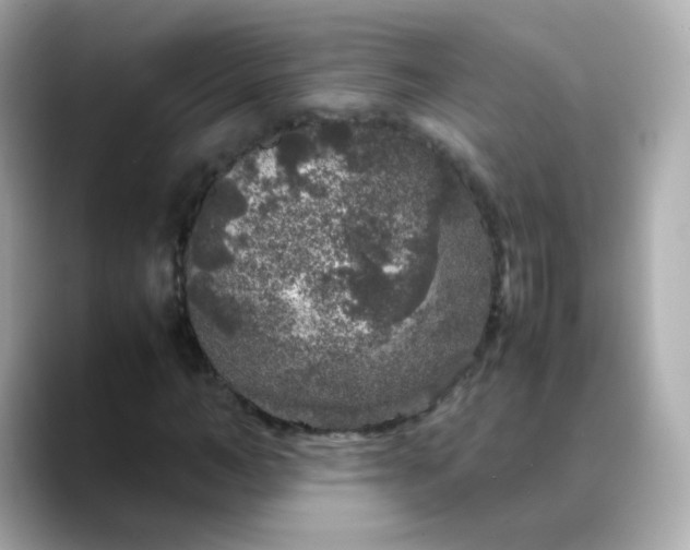 X0000088420966200706051209