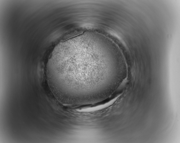 X0000088420968200706051209