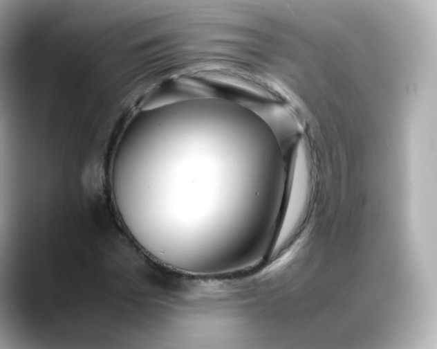 X0000088420969200706051208