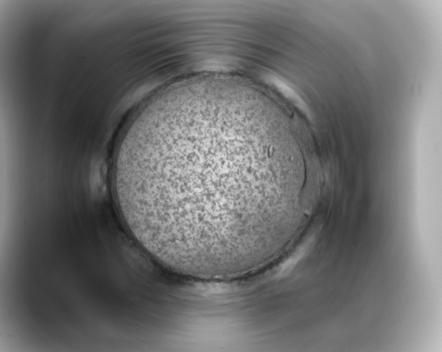 X0000088420970200706051208