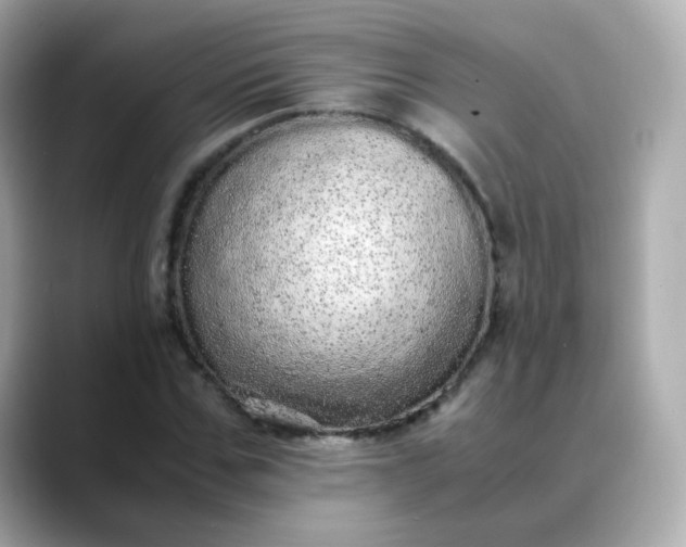 X0000088420971200706051208