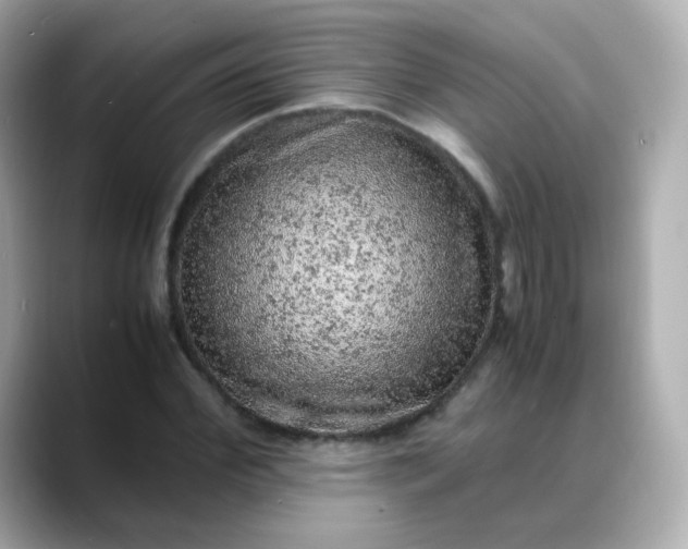 X0000088420972200706051208