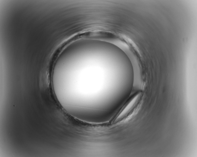 X0000088420973200706051208