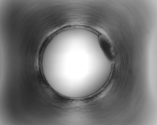 X0000088420974200706051208