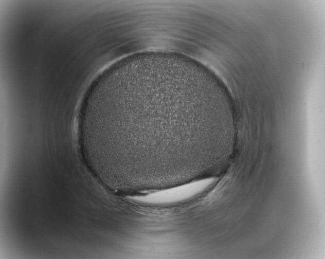 X0000088420975200706051208