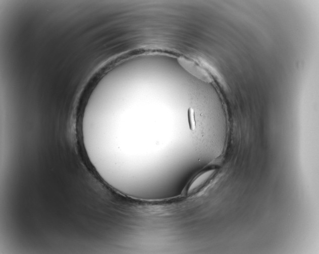 X0000088420976200706051208