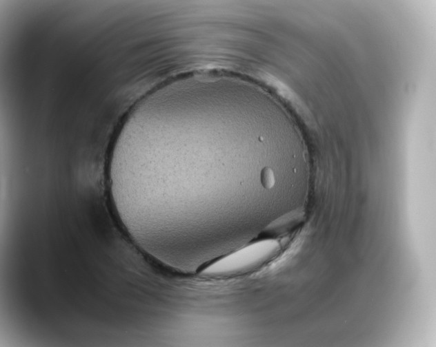 X0000088420977200706051208