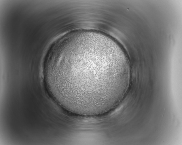 X0000088420979200706051208