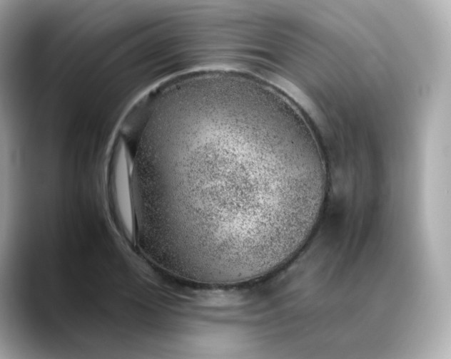 X0000088420980200706051208