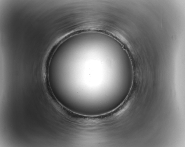 X0000088420981200706051208