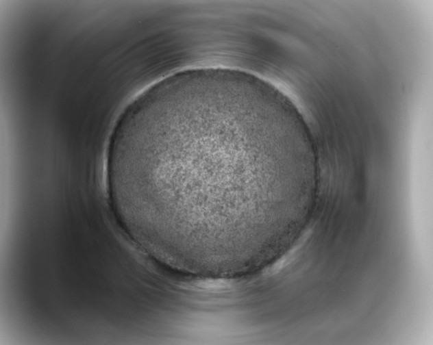 X0000088420982200706051208
