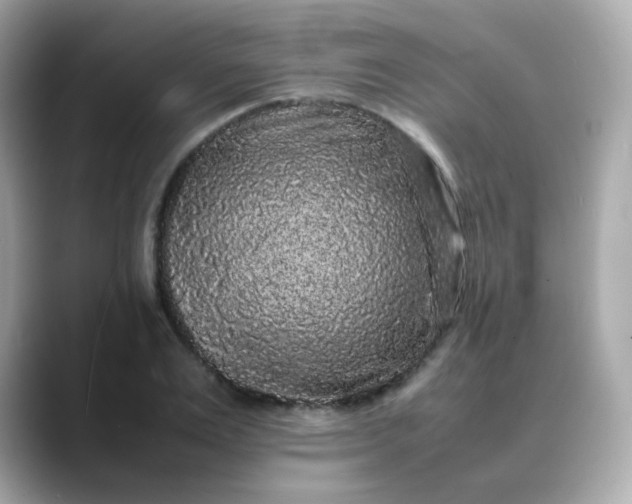 X0000088420983200706051208