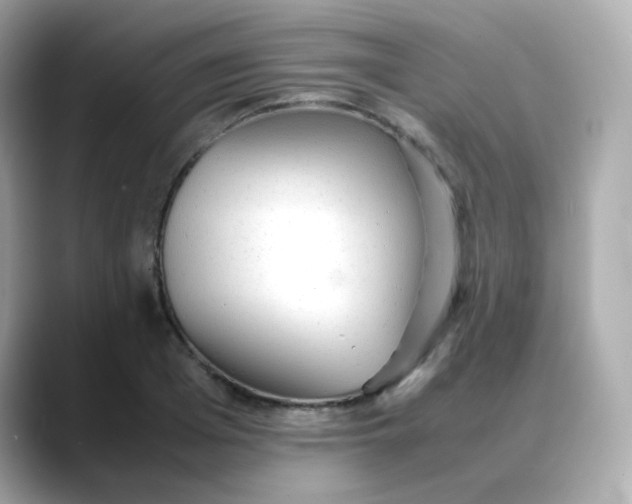 X0000088420985200706051208