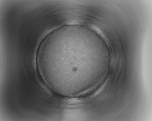 X0000088420986200706051208