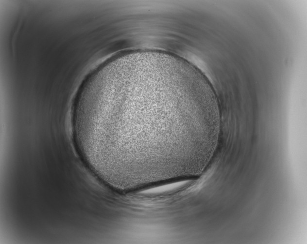 X0000088420987200706051208