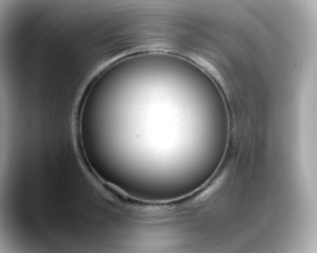X0000088420989200706051208